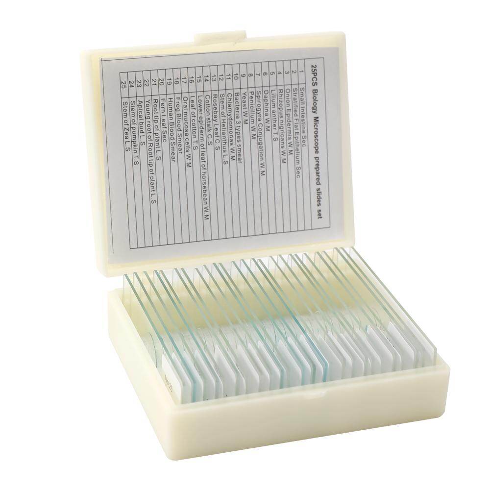 25PCS/Set Biological Glass Sample Prepared Basic Animal Plants Insects Tissues Science Specimen Cover Slips Portable Educational Microscope Slides