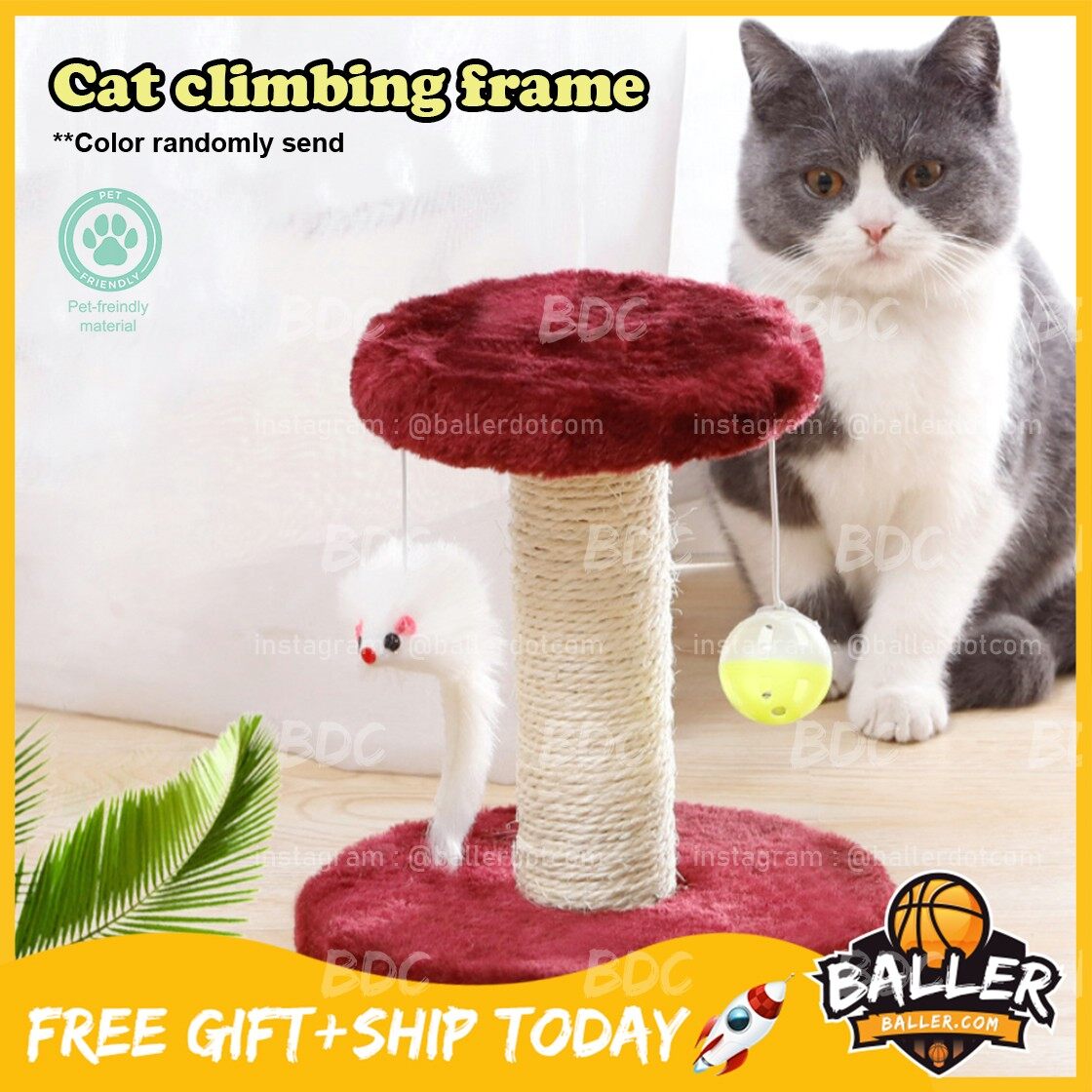 cat condo lazada