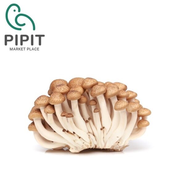 Brown Shimeji Mushroom 300G ( Cendawan Shimeji / 鸿喜菇 ) Lazada