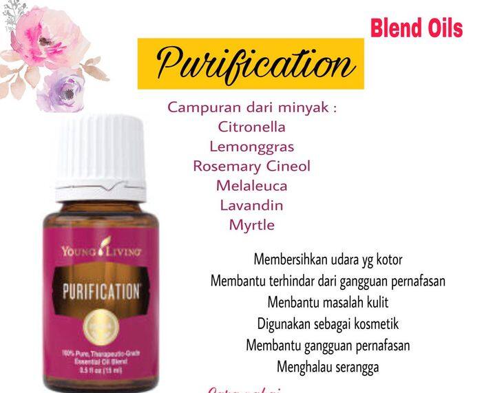 Purification Essential Oil Buy 15ml Free 5ml Young Livings Lazada