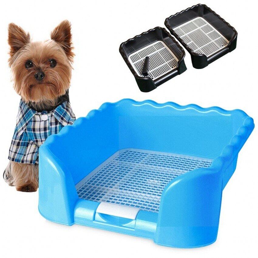 How Do You Litter Train A Small Dog