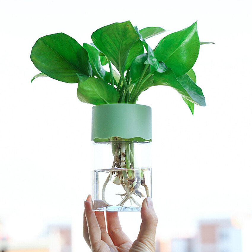 Transparent Hydroponic Flower Pot Water Planting Vase Container Plastic Tabletop Plants Bonsai Home Decoration
