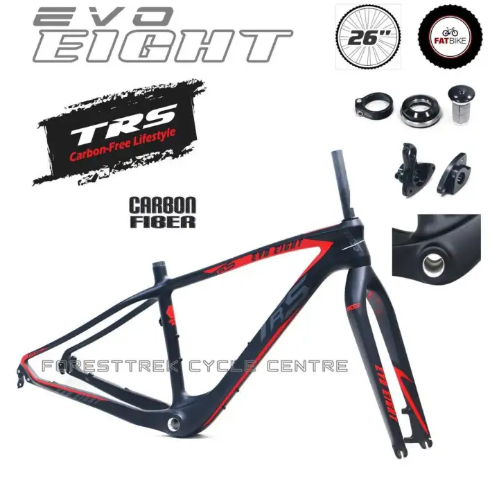 carbon frame price