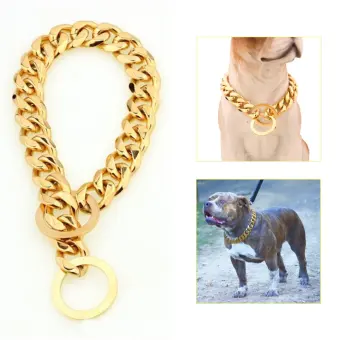 gold choke chain dog collar