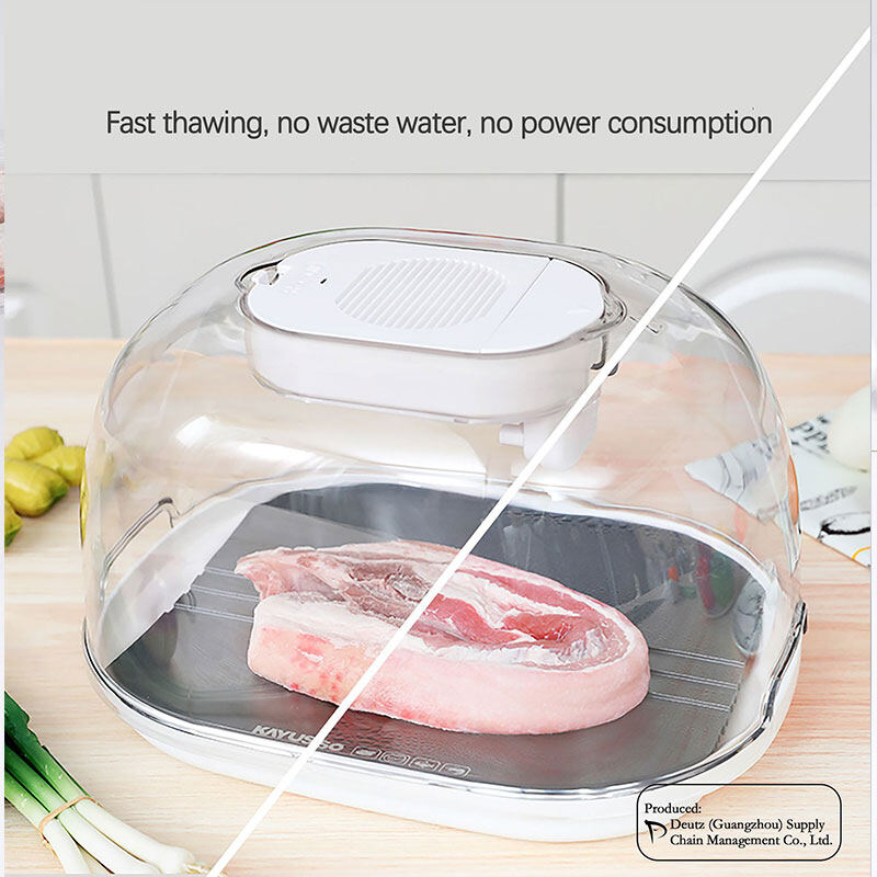 SADA Constant temperature preservation quick defrost steak heat conduction plate multifunctional thawing meat machine