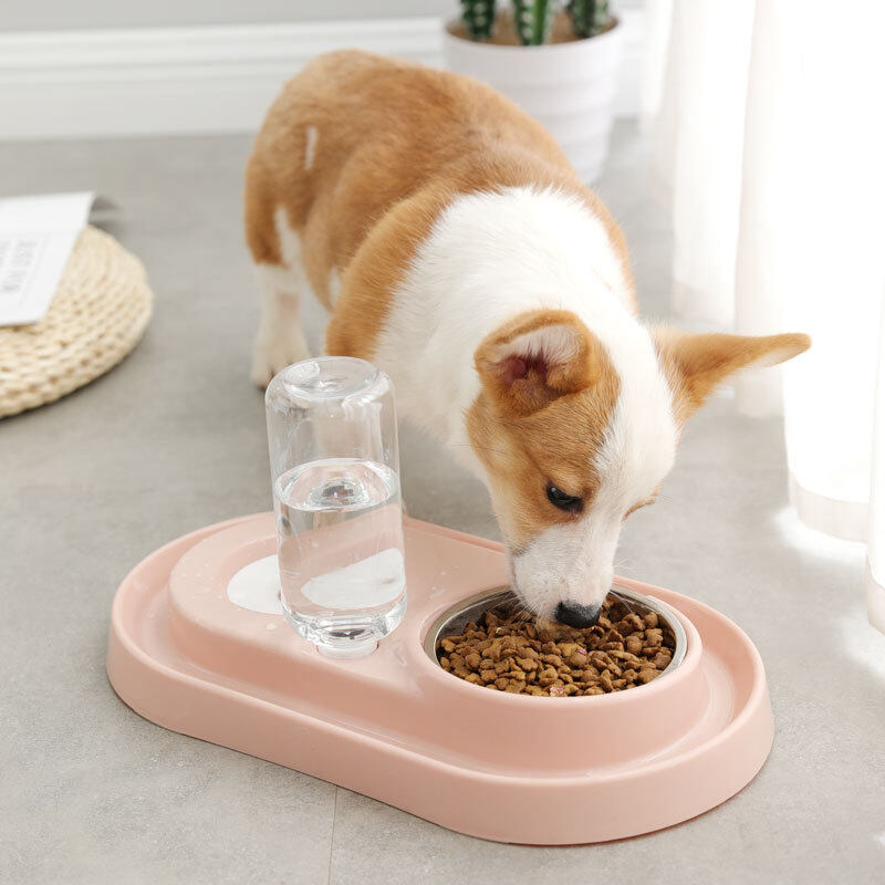 H & JOY PINK Máy Cho Thú Cưng Ăn Tự Động Máy Cấp Nước Cho Chó Mèo Uống Bát Cho Chó Ăn Bát Cho Mèo Ăn Dụng Cụ Tưới Nước