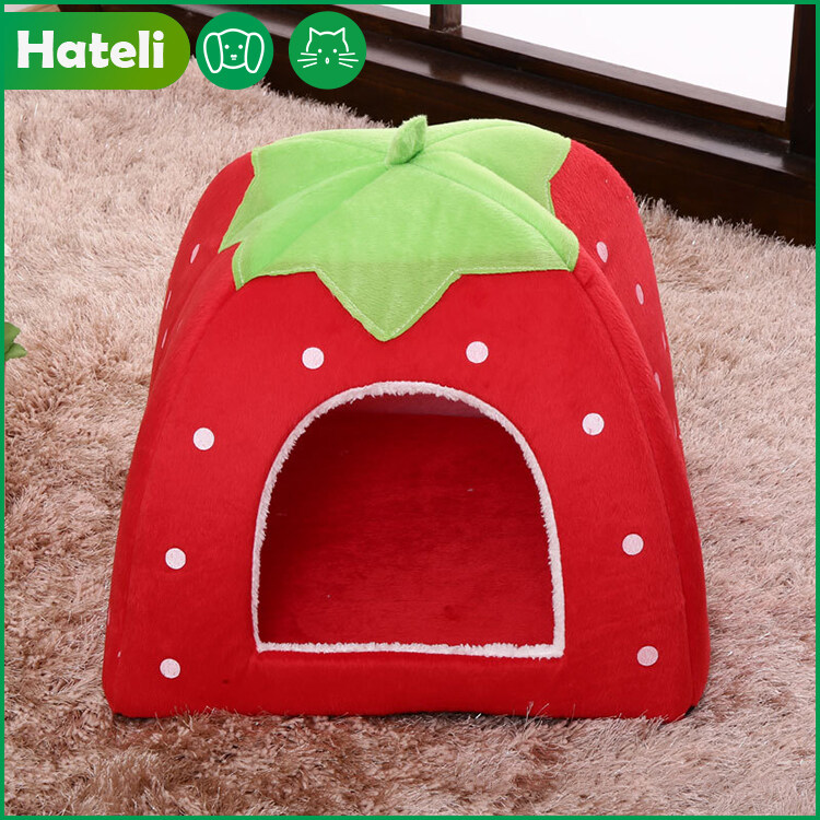 strawberry dog bed