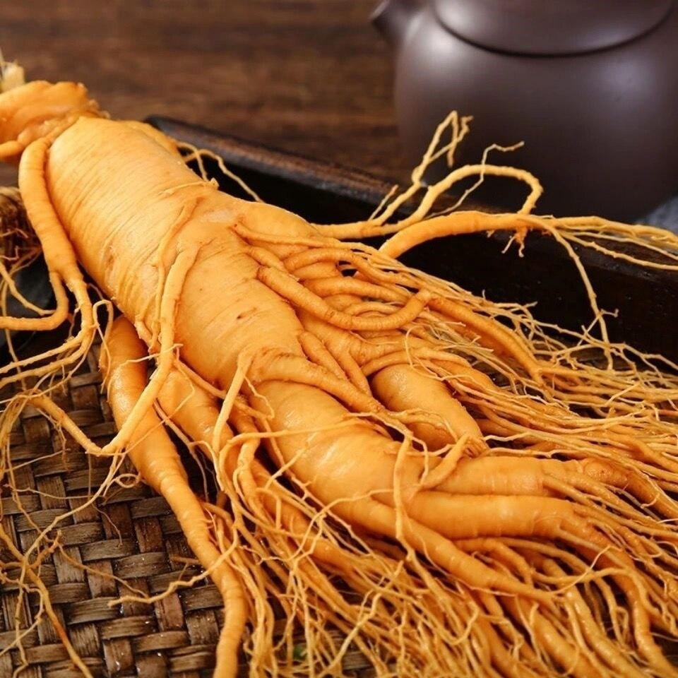 [35-year-old ginseng] Extra large Jilin ginseng Changbai Mountain wild ginseng gift soaking alcohol