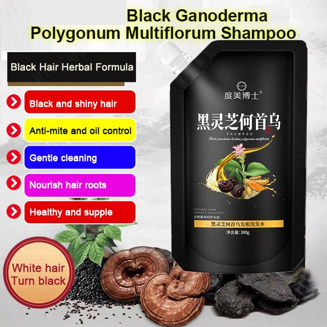 Đen Ganoderma polygonum multiflorum dầu gội dầu thực vật kiểm soát tóc đen chống Trắng Tóc chống gàu chống ngứa
