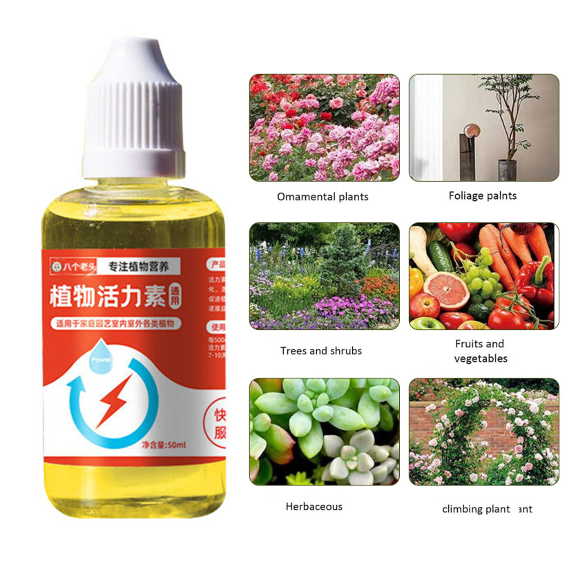 Plant Growth Enhancer Supplement, 2023 New Take Root Rooting Hormone Supplement For Transplant And Rescue The Disease Seedlings, Promotes Rooting, Grow New Plants From Cutting