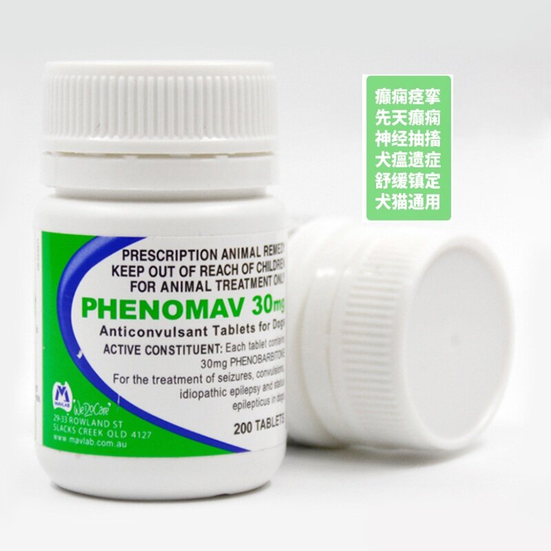 Status Epilepticus Dog Seizure Medication Phenobarbital Cost 10