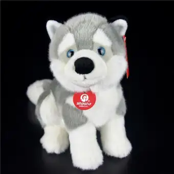 puppy plush