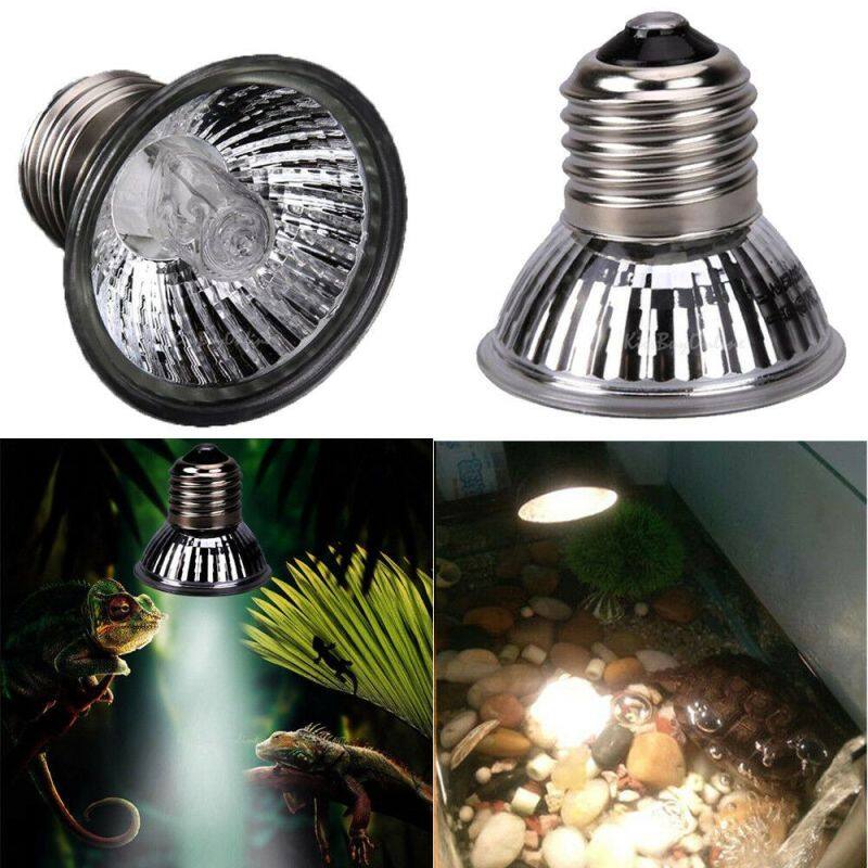 Đèn 50W UVA + UVB 3.0 Basking Bóng Đèn UV Bộ Điều Khiển Nhiệt Độ Đèn Sưởi