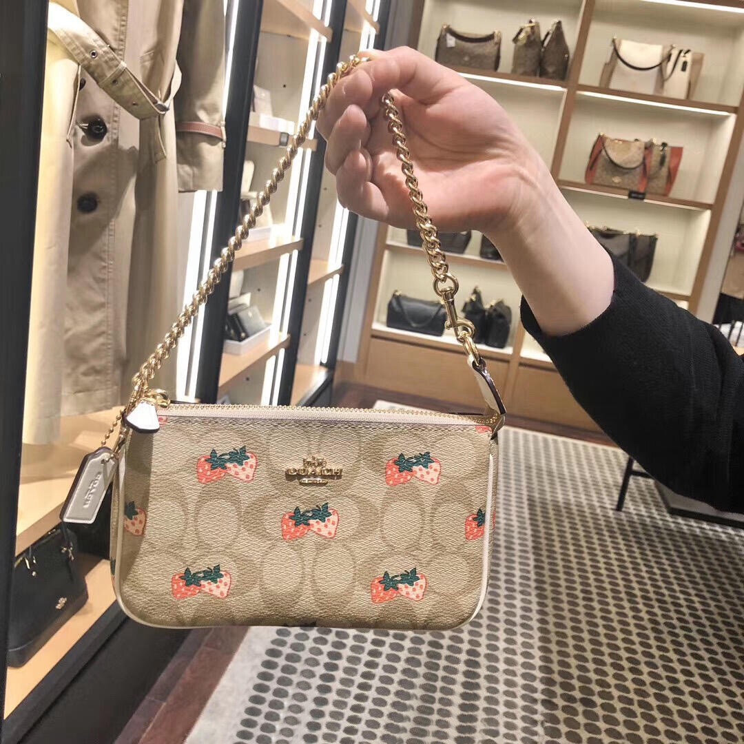 Coach discount strawberry purse