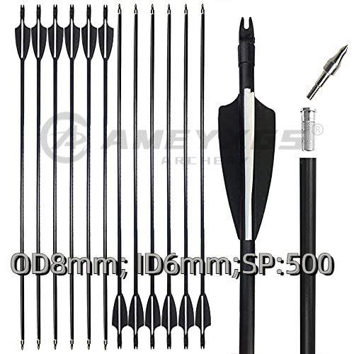 AMEYXGS Mũi Tên Sợi Thủy Tinh 31.5Inch Spine500 Có Đầu Mũi Tên Thay Thế