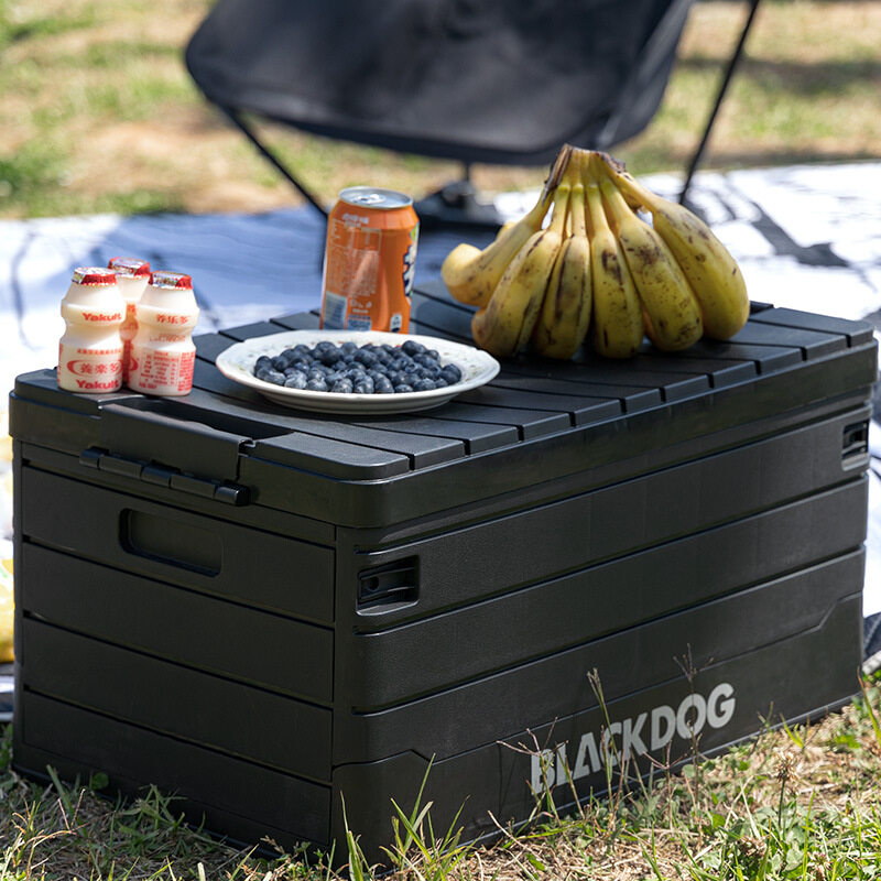 BlackDog hộp lưu trữ di động ngoài trời 60L PP LSF580-INTL
