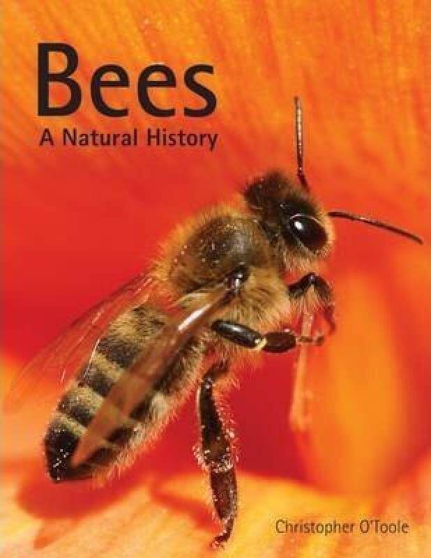 Bees: A Natural History Malaysia
