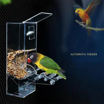 Acrylic Automatic Parrot Feeder Pet Feeding Device Seed Food