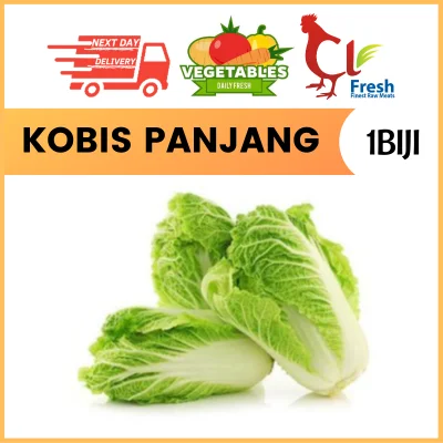 Kobis Panjang / Long Cabbage 1 NOS
