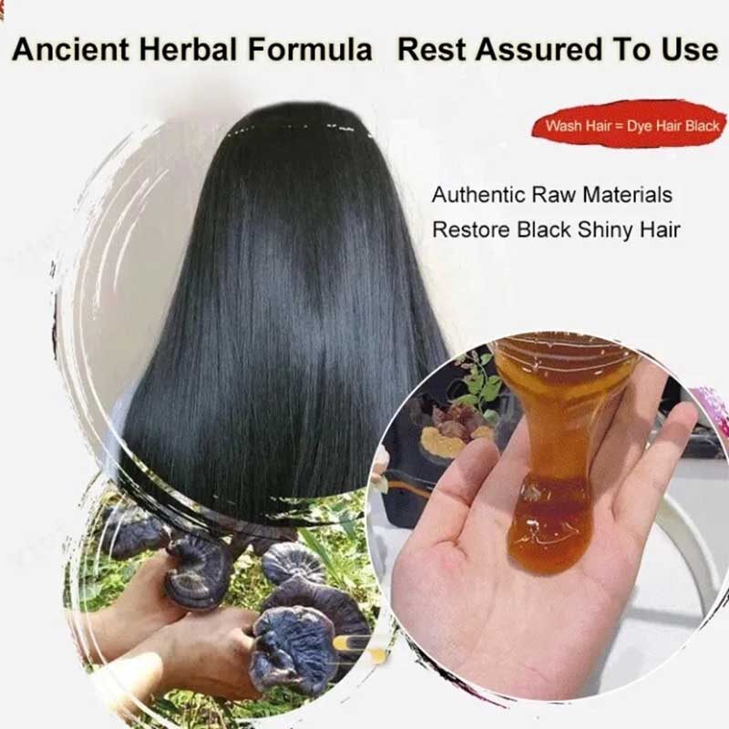 Đen Ganoderma polygonum multiflorum dầu gội công thức thảo dược tự nhiên làm sạch và làm mượt tóc tóc xù