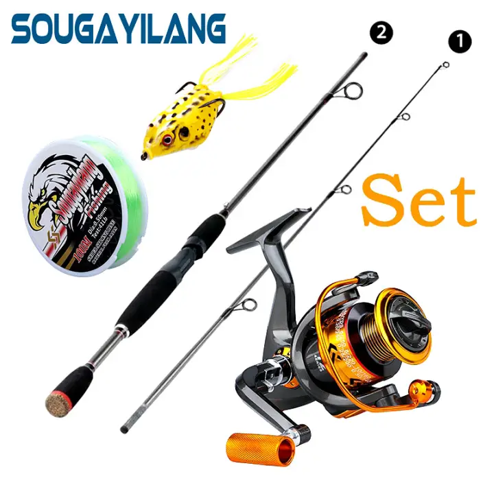 carp rods and reels