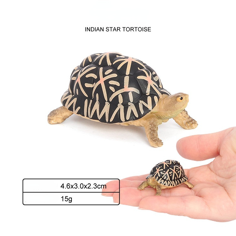 Rắn Mô Phỏng Động Vật Biển Rùa Mô Hình Mini Rùa rùa cạn rùa nước Rùa Rùa Trẻ Em Của Nhận Thức Đồ Chơi Cho Đồ chơi bé trai Cho Cô Gái