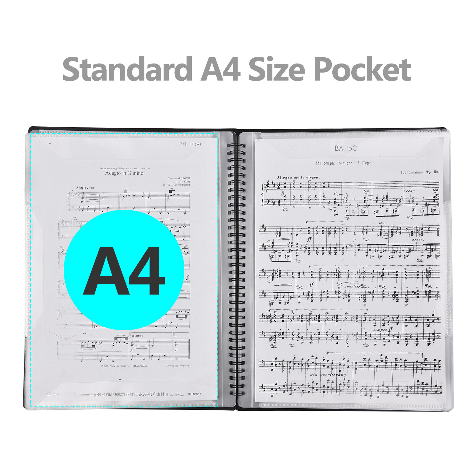Flatsons FB-02 A4 Size Music Score Holder Paper Sheet Document File Organizer Music Paper Folder 40 Pockets for Guitar Violin Piano Players