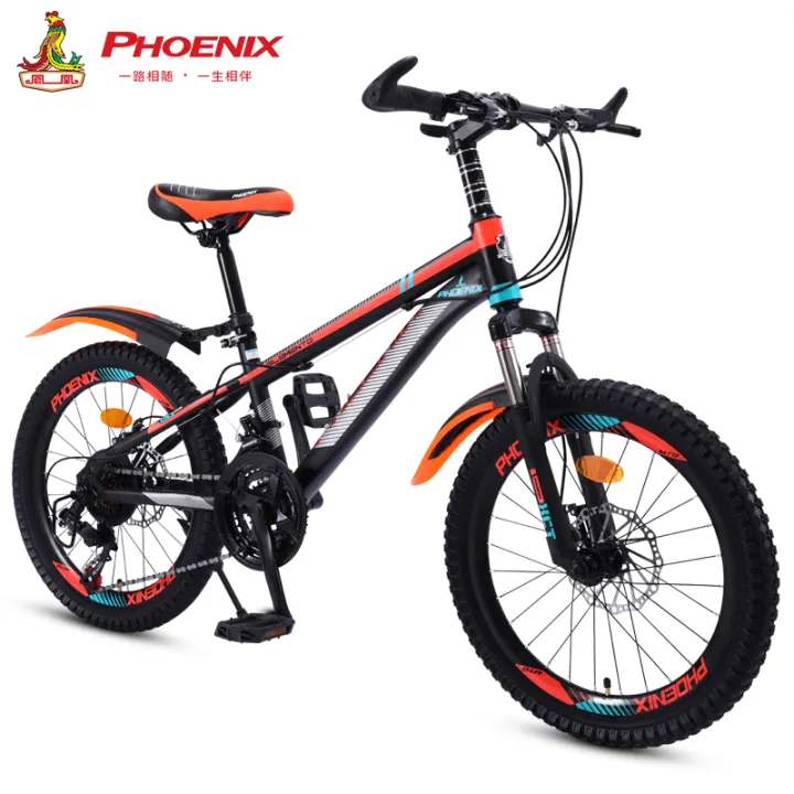 mountain bike transmission