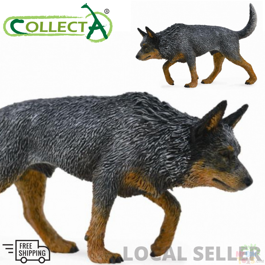 collecta australian cattle dog