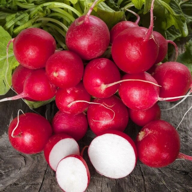 150 hạt giống củ cải cherry đỏ