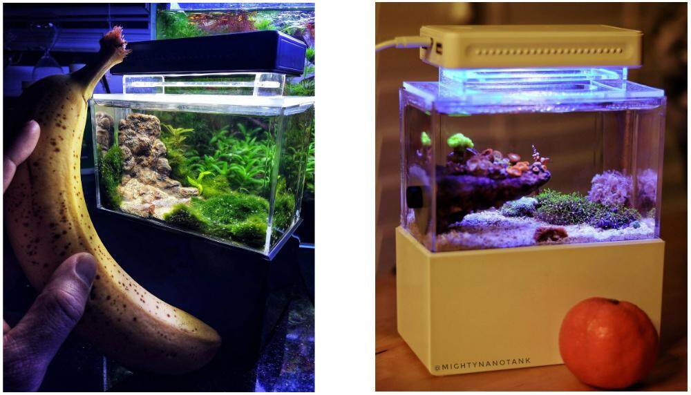 Mini Aquarium Tank All In One Full Led Lazada