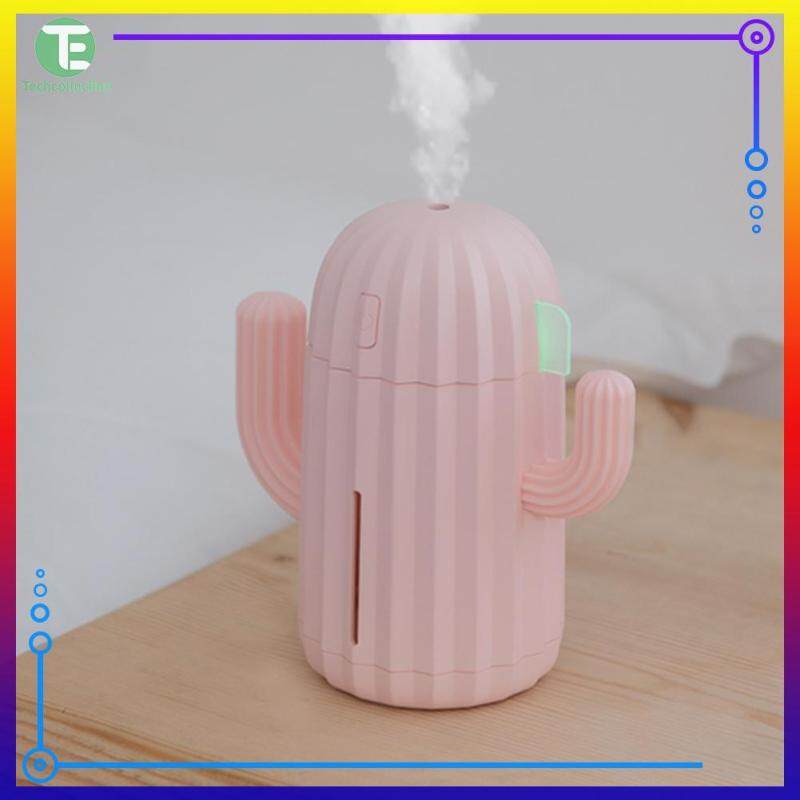 Essential Oil Diffuser Fogger Cactus Air Humidifier Aroma Diffusor Anion Mist Maker Fogger Singapore