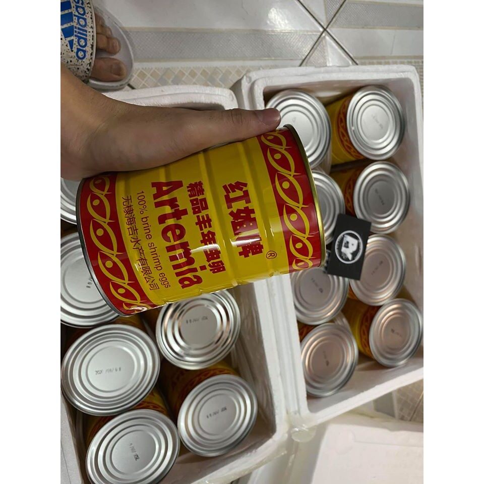Artemia lon vàng - tỷ lệ 95% - date mới - bảo hành