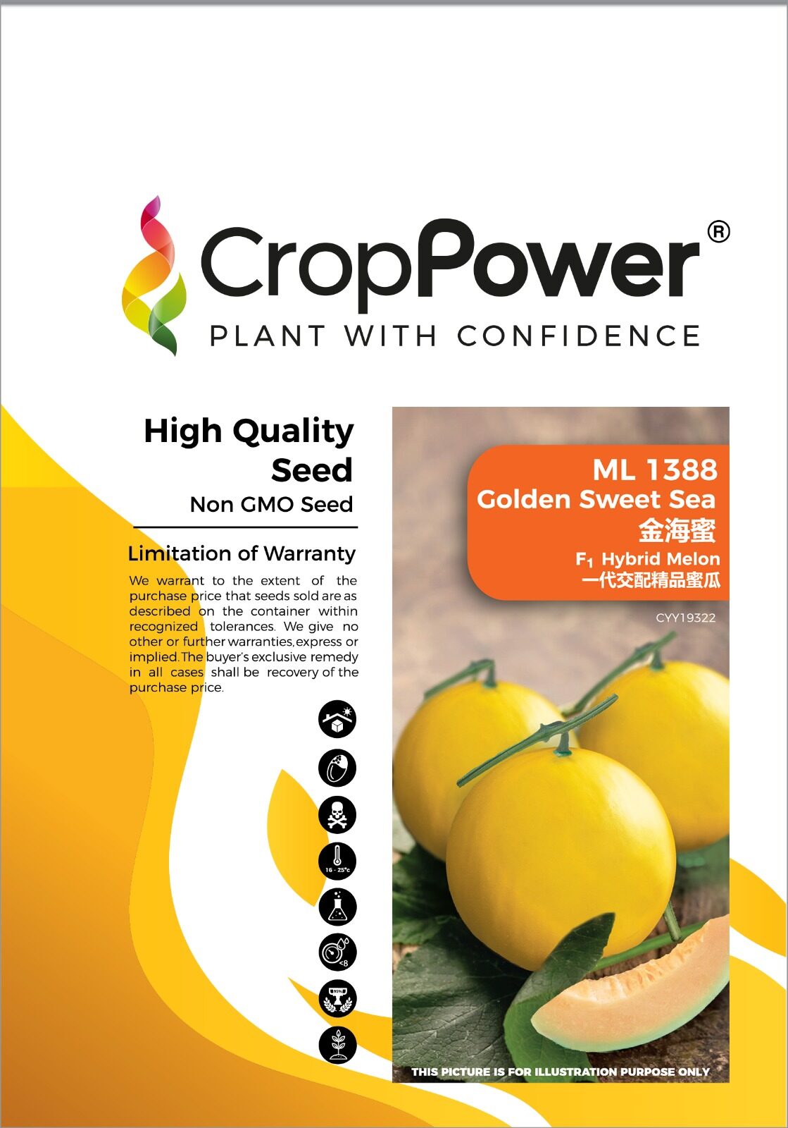 Benih Golden Melon Ml1388 Golden Sweet Sea F1 Hybrid Melon Crop Power