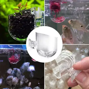Clear Glass Bubble Crystal Shrimp Fish Feeding Cup Basin Feeder