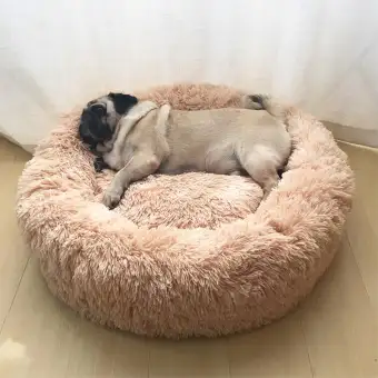 dog bed bag
