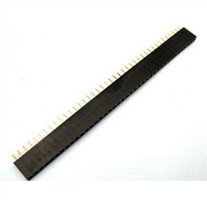 Jum cái đơn 2.54mm 40p