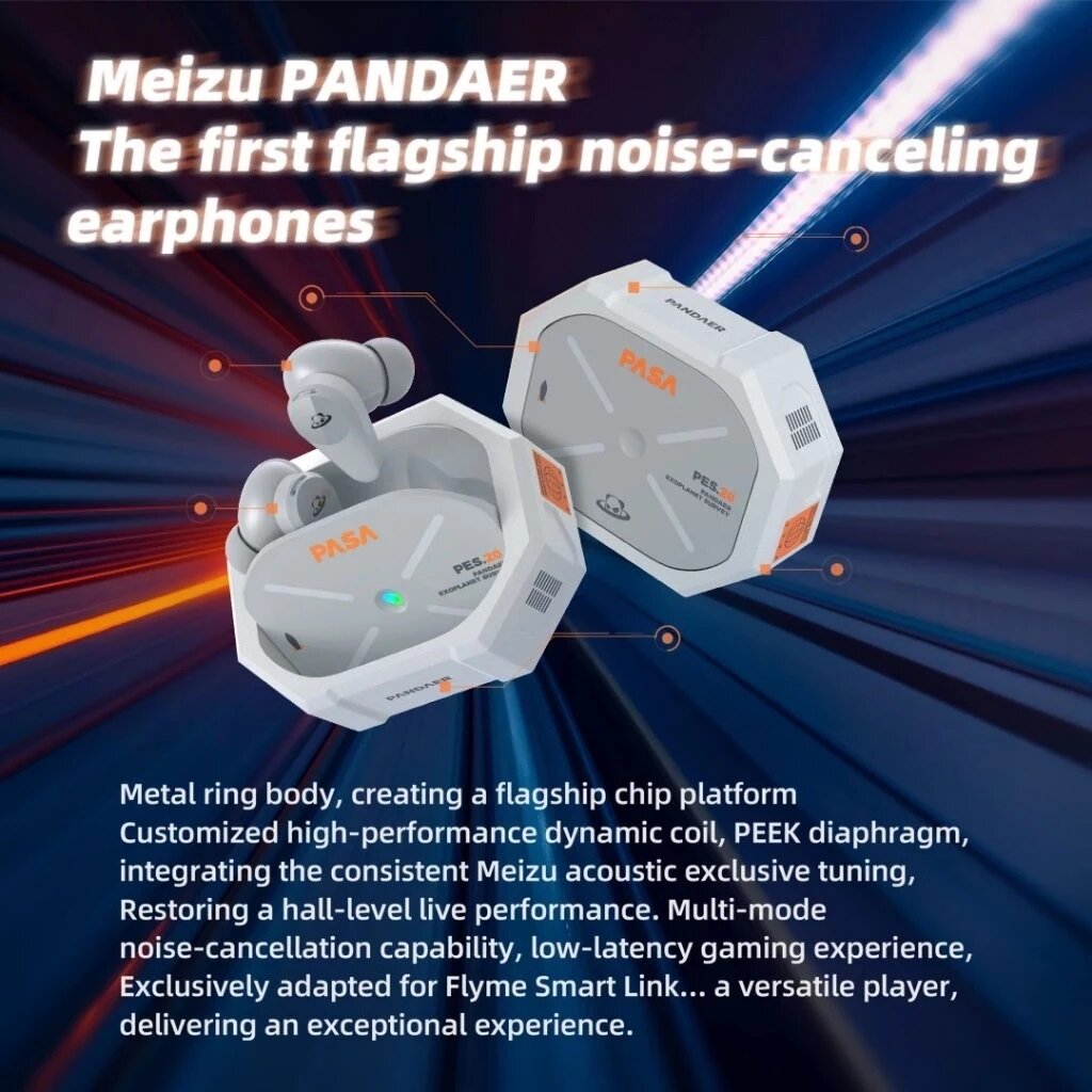 Meizu Pandear Pasa SX12 Noise Cancellation Wireless Earphone