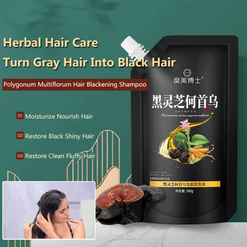 Đen Ganoderma polygonum multiflorum dầu gội dầu thực vật kiểm soát tóc đen chống Trắng Tóc chống gàu chống ngứa