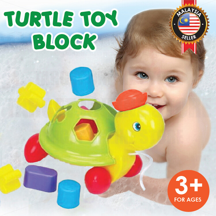 3+ Month Baby Toddler Early Learning Turtle Shape Sorter Toy