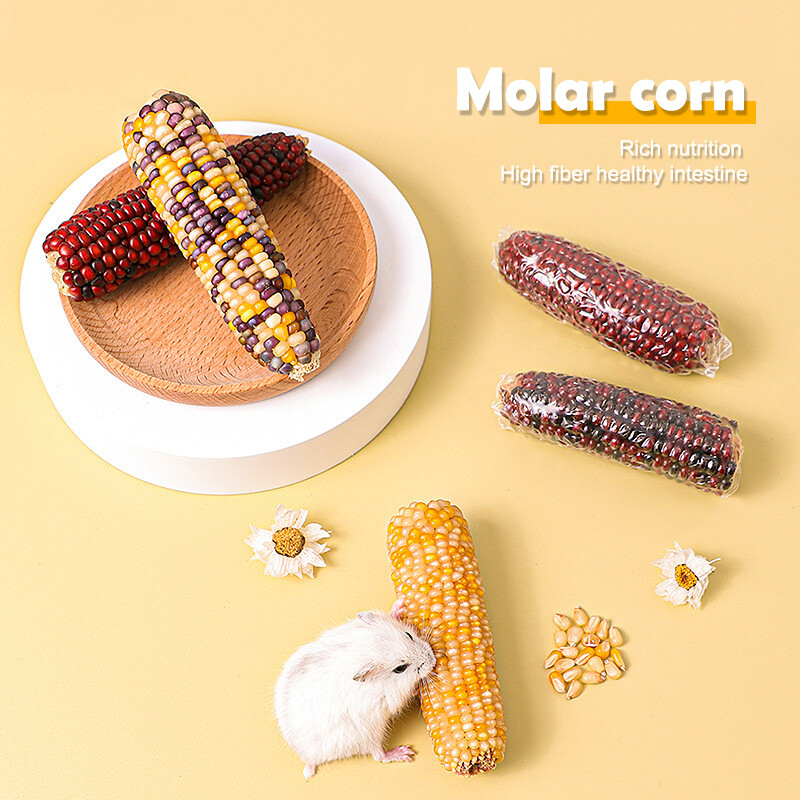 Mini Snack Corn Hamster Food Staple Food Molar Toy Golden Bear Rabbit Chinchilla