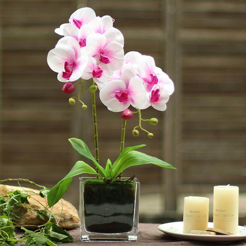 Phalaenopsis Home Living Room Decoration Artificial Flower dining table Ceremony Party Orchid Set + Vase