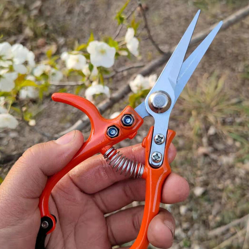 Branch Pruning Scissors Garden Gardening Pruning Scissors Household Labor-saving Flower Pruning Tree Branches Flower Scissors