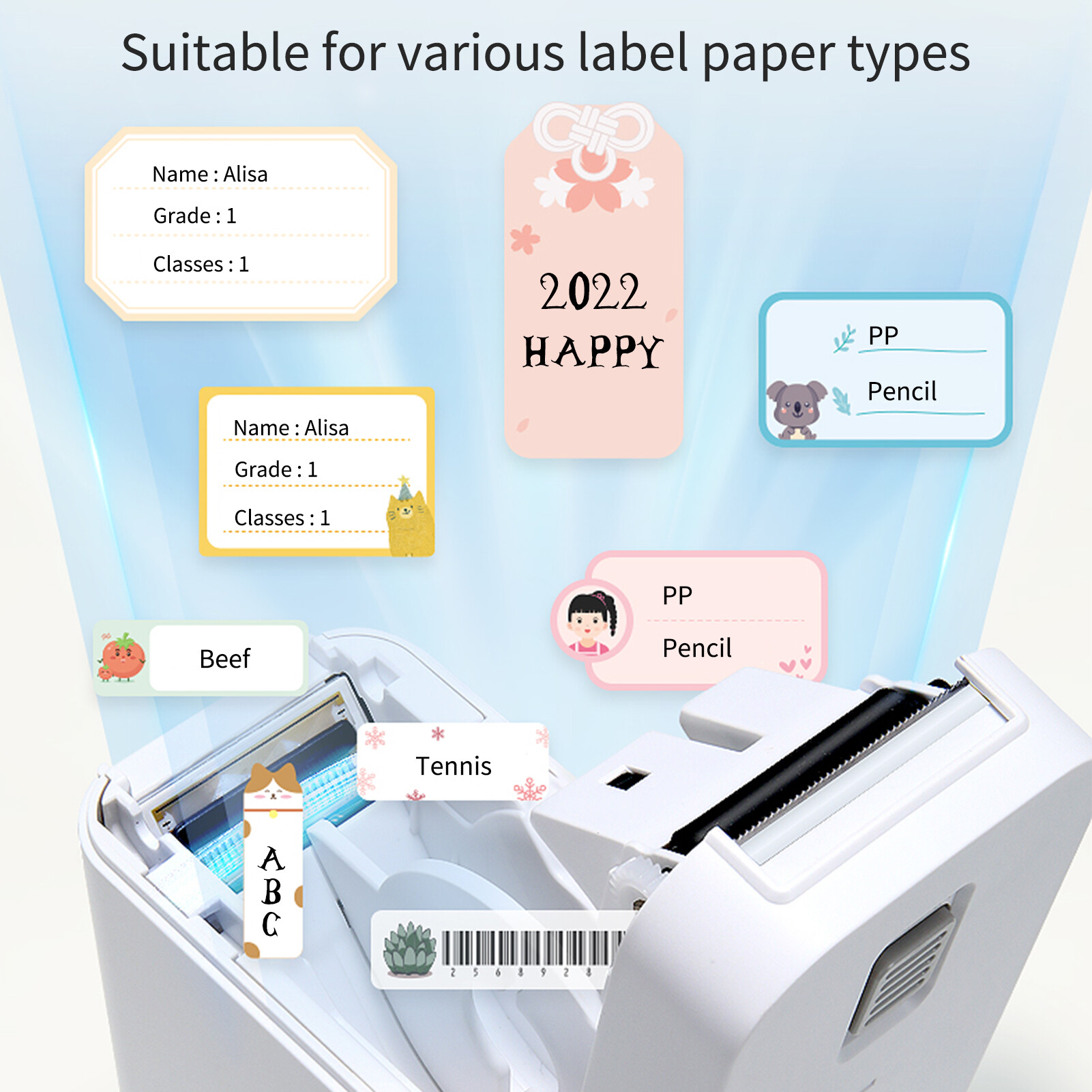 Máy in nhãn NIIMBOT D101