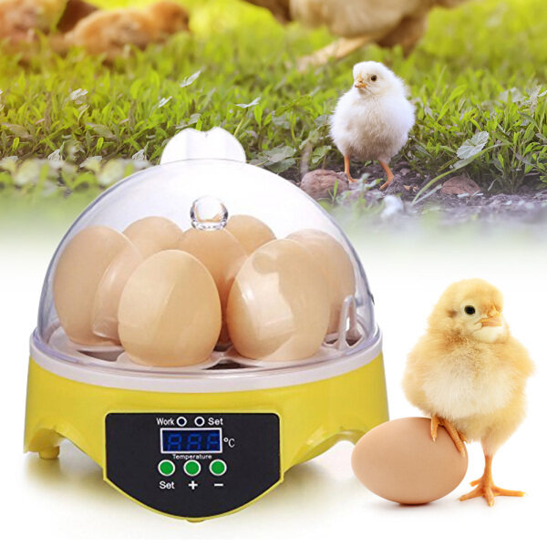 Hittime Máy Ấp Trứng Mini 7 Máy Ấp Trứng Gia Cầm Máy Ấp Trứng Điều Khiển Nhiệt Độ Kỹ Thuật Số Máy Ấp Trứng Cho Trứng Chim