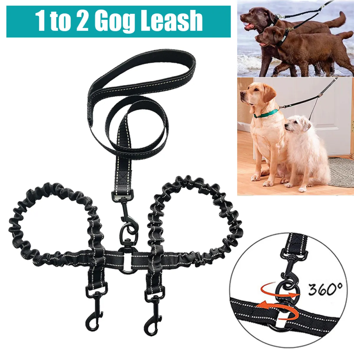 walk 2 dogs on one leash