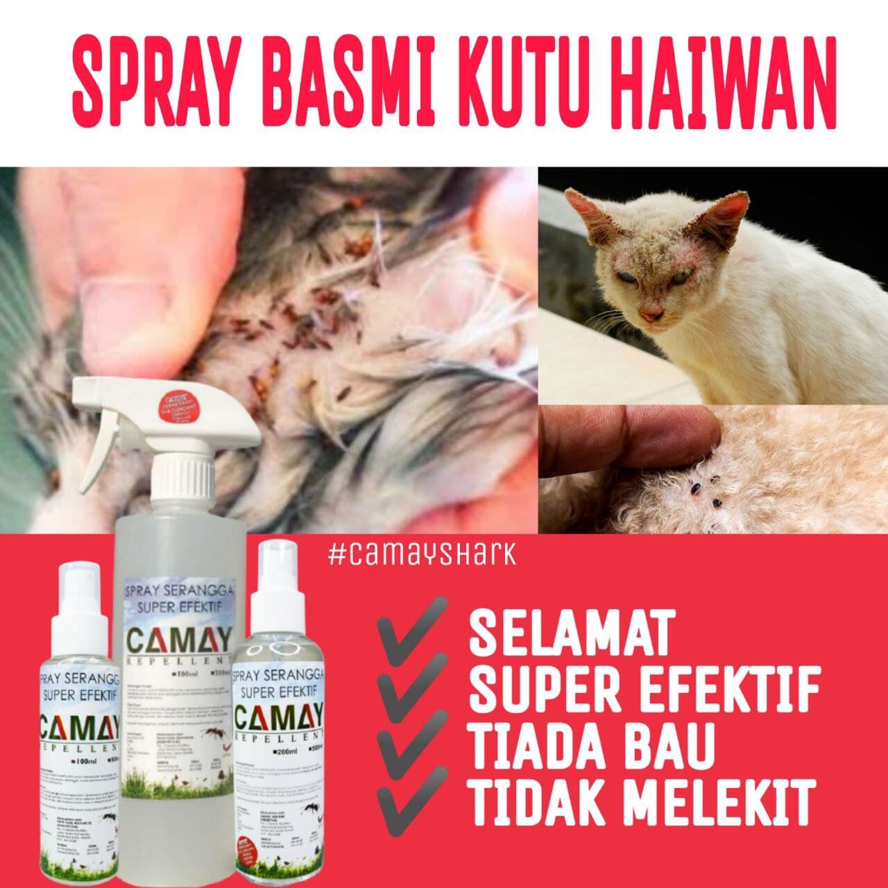 Spray Basmi Kutu Kucing Cat Flea Lice Spray Camay Repellent 200ml Lazada