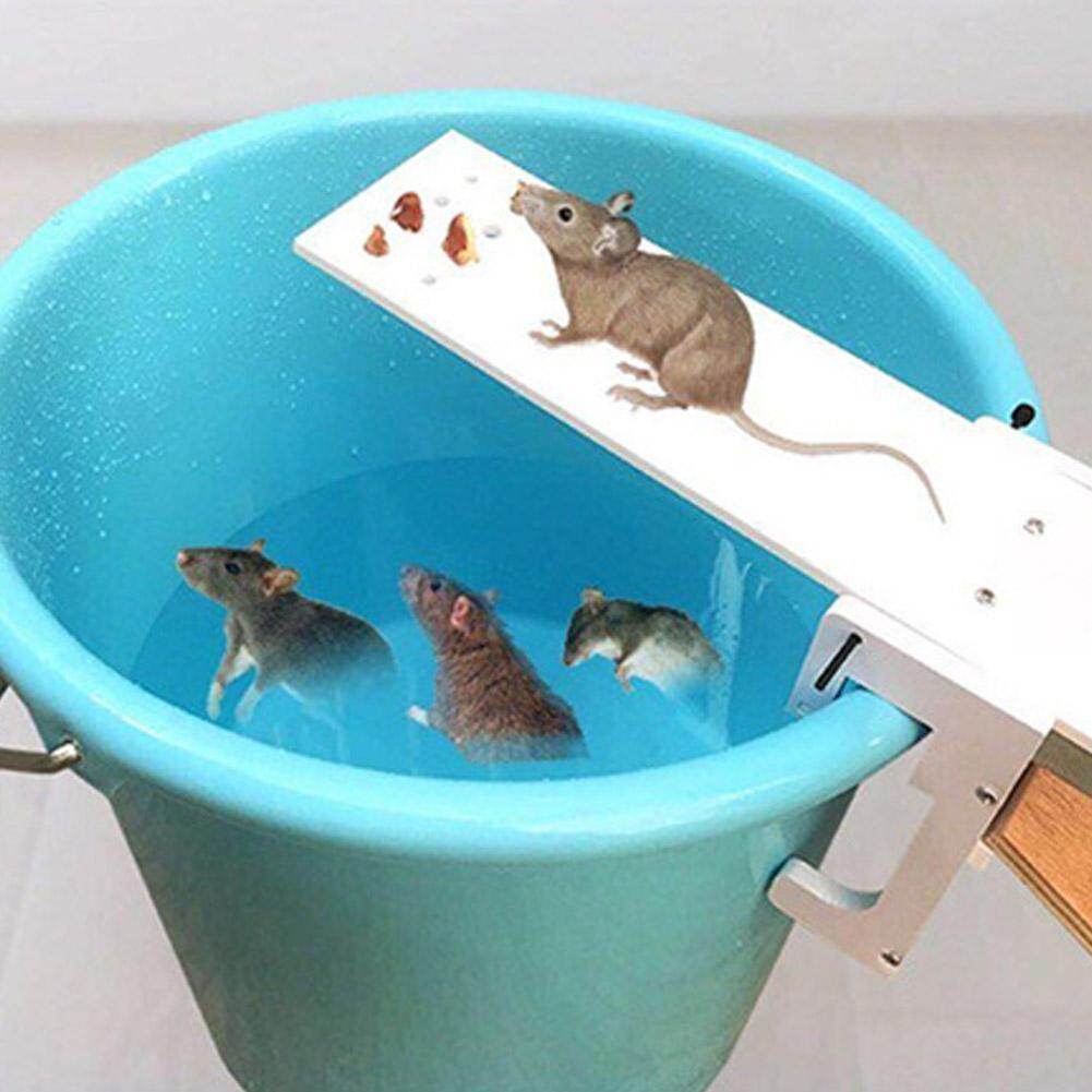 DIY Mouse Trap Mouse Mice Rodent Trap Seesaw Auto Reset Bait Catcher