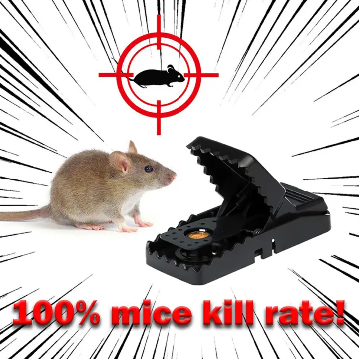 rat mice traps