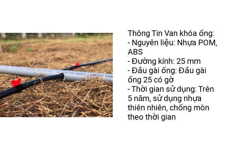 COMBO 10 Van khóa ống LDPE 25mm